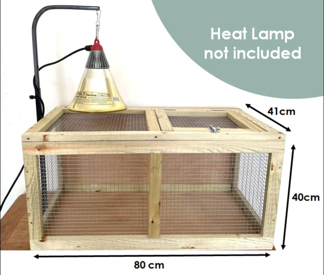 Chick Brooder Heat Lamp